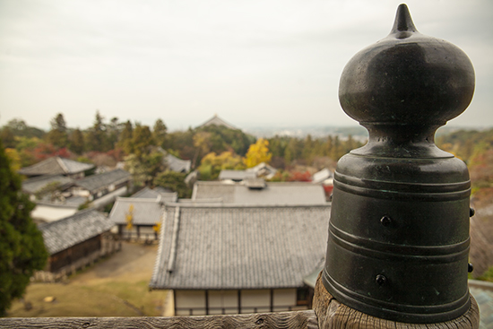 miradores Nara Japón