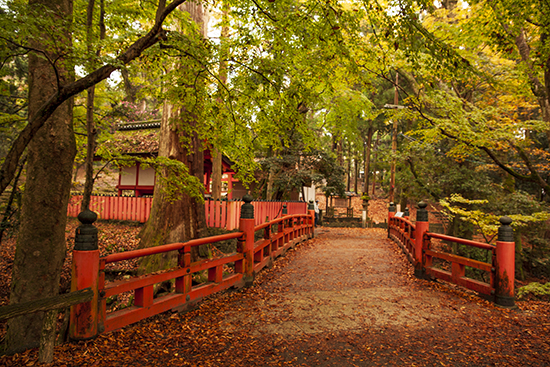 puente rojo nara