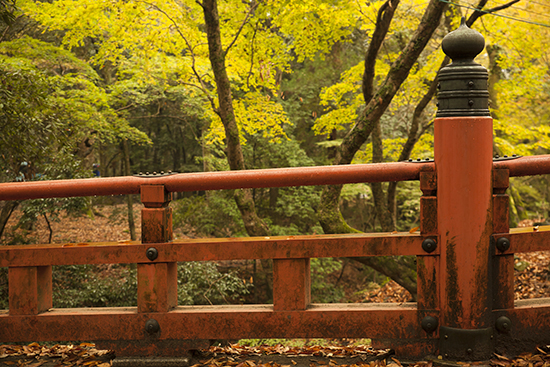 puente en Nara