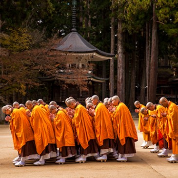 koyasan japon monjes