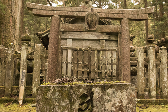 torii japon koyasan montañas cementerio