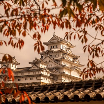vistas del castillo de Himeji en otoño