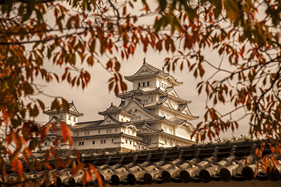 vistas del castillo de Himeji en otoño
