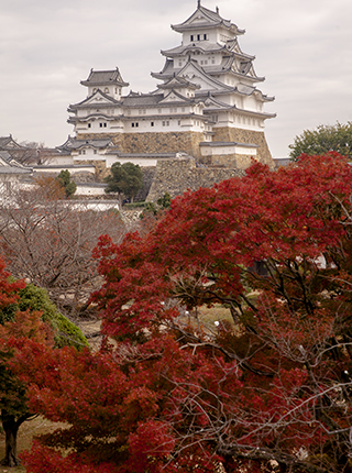 castillo de Himeji en otoño