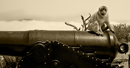 Gibraltar monos historia Te cuento de viajes