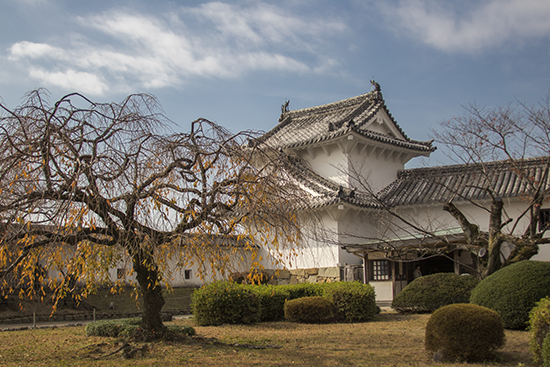 jardines de castillo Himeji