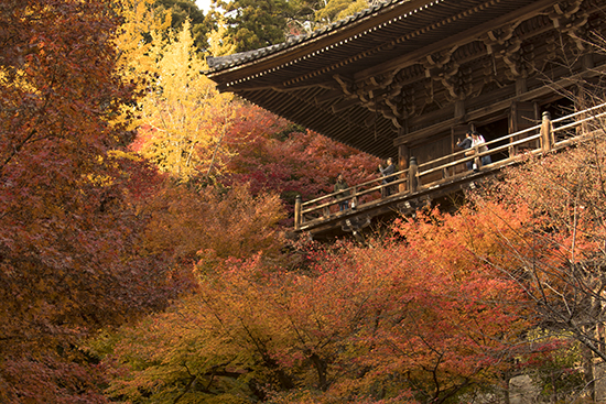 otoño en monte shosha japon
