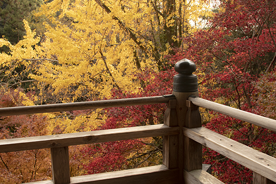 monte shosha en noviembre