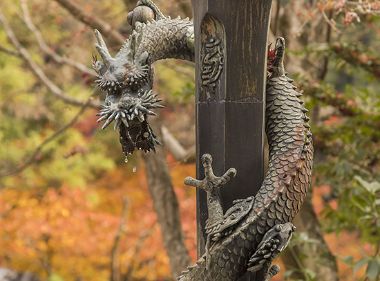 dragones en japon