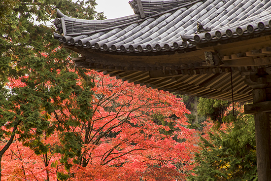 templos en el monte shosha japan