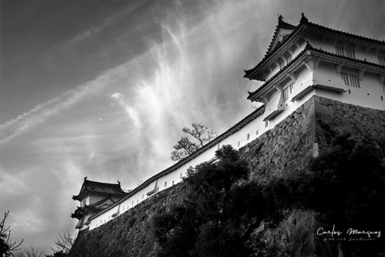 castillo Himeji en blanco y negro