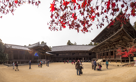 cine y rodajes en japon