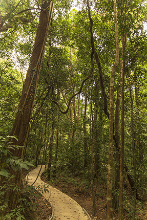 senderismo Australia