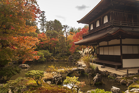 kinkakuji temple kioto november