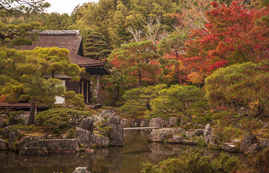 otoño en el templo de plata kioto