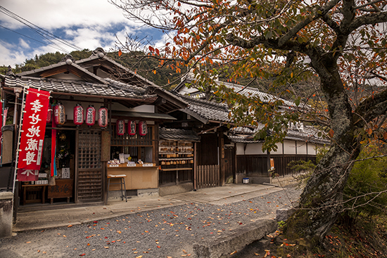 camino del filósofo kioto