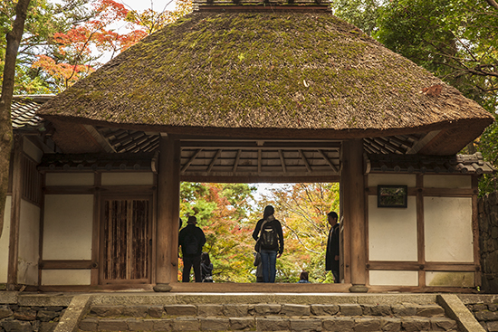 hone in temple kioto