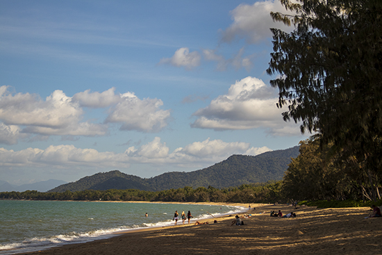 Palm cove beach Queensland
