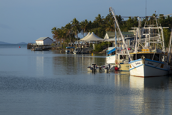 Port Douglas puerto Australia