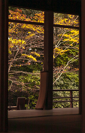 templos en kioto en noviembre