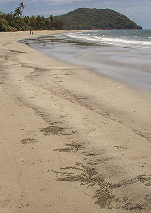Myall beach Queensland