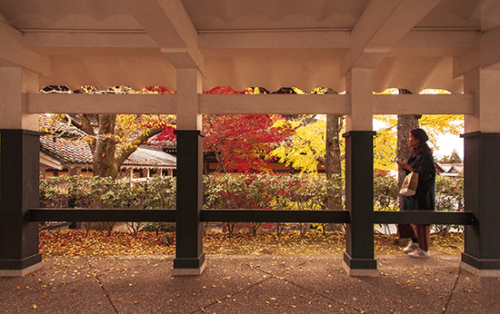 otoño en kioto
