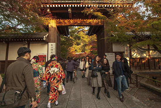 kioto en noviembre eikando temple