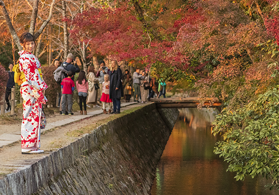 camino del filósofo en otoño kioto