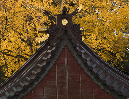 Otoño en Kanazawa noviembre