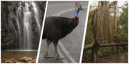 desde Yungaburra a Mission Beach Australia