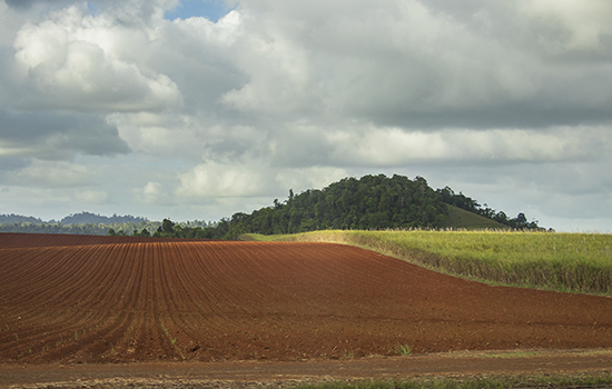 paisajes australianos