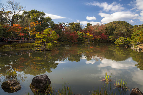 estanque templo dorado y jardines