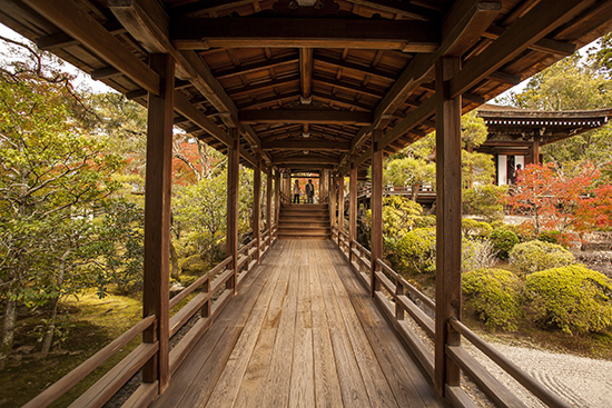 templos en noviembre kioto