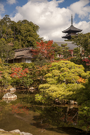 momiji en japon pagoda kioto