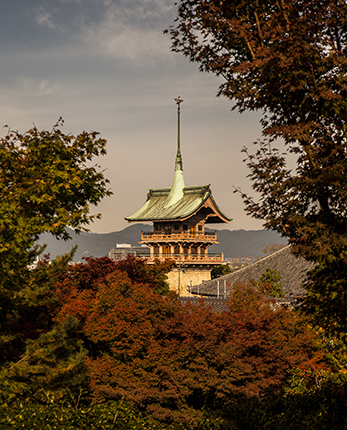Pagoda kioto otoño