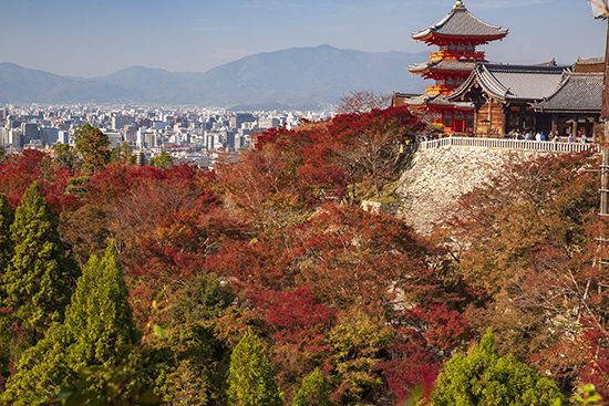 vista panorámica, árboles color de oroño en primer plano, pagoda roja en segundo plano, ciudad de Kioto en tercer plano, al fondo del todo las montañas.