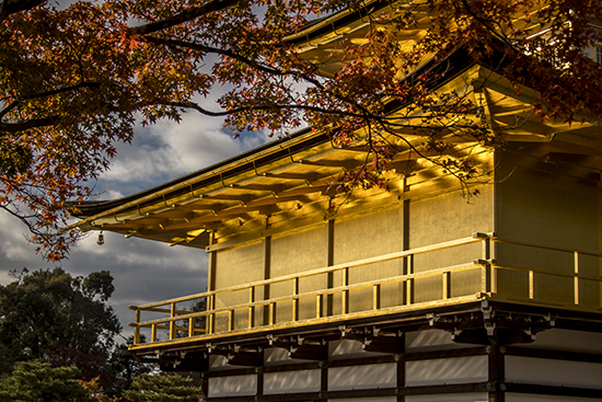 otoño en el templo dorado kioto