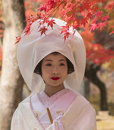 boda sintoista kioto retrato noviembre