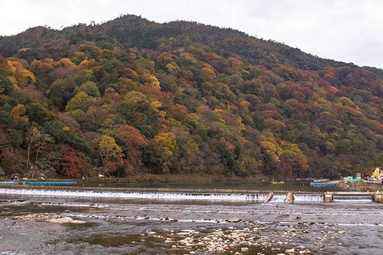 segunda quincena de noviembre en arashiyama