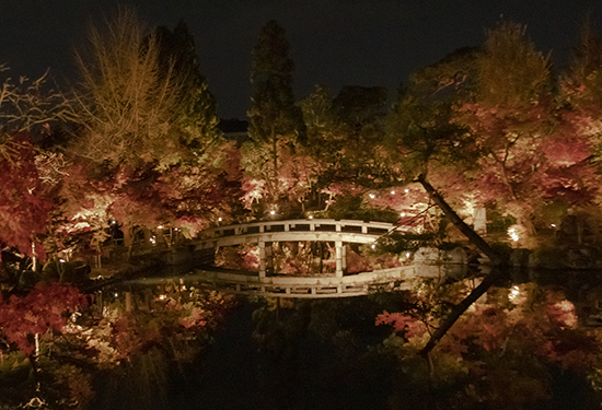 otoño en eikando garden de noche kioto