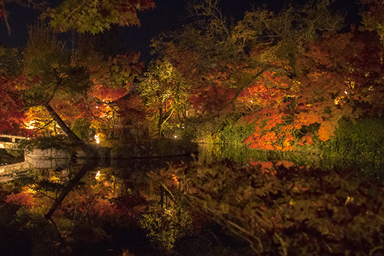 eikando garden otoño iluminacion nocturna