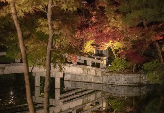 eikando temple de noche kioto