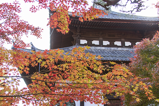 templo sanjusangendo en Kioto con hojas de arce narnajas y rokas