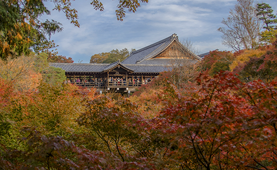 templo en Kioto con jardines arbolados colores otoño
