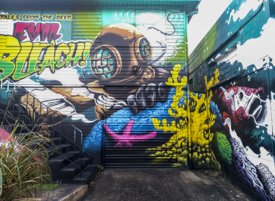 viajar a la gran barrera de coral australiana