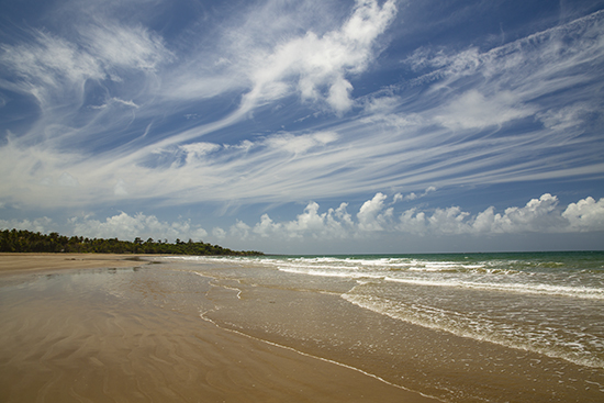 Mission beach Australia