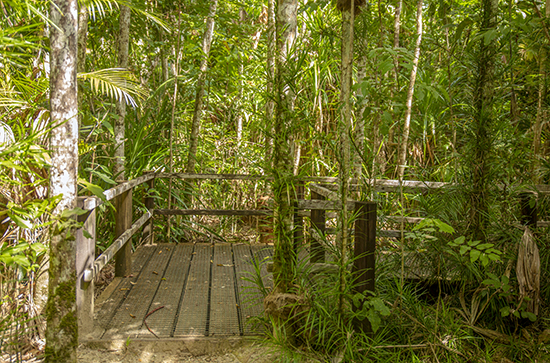 senderos en Mission Beach Australia