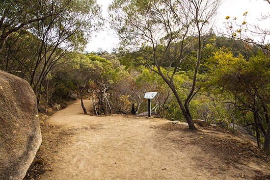 Trails en Magentic Island the fort