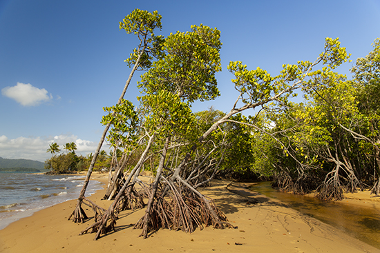 Kurrumine beach Australia