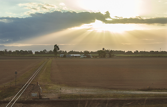 atardecer on the road